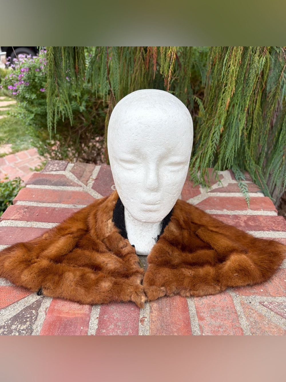 Vintage Mink Fur Collar Came Off A Coat Great For A Costume